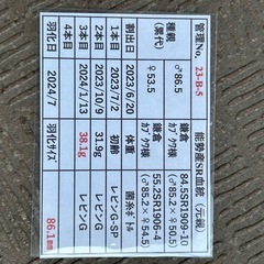 ２４年羽化　 ８６mmオオクワガタの画像