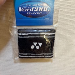 バドミントンシューズの画像