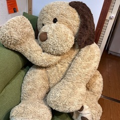 コストコ大きいな犬 クマぬいぐるみの画像
