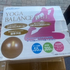 ヨガバランスボール