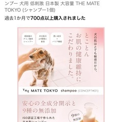 わんちゃんシャンプーの画像
