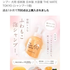 わんちゃんシャンプーの画像