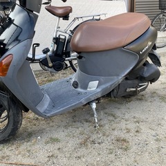 レッシ4の画像