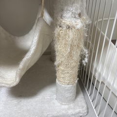 キャットタワーの画像