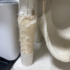 キャットタワーの画像