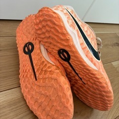 NIKEトレーニングシューズの画像
