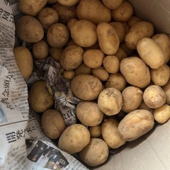 きゅうり１キロ&じゃがいも２キロの画像