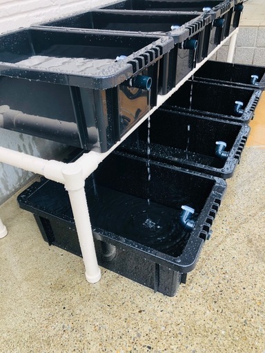 メダカ飼育ラック ブラック【接着剤付】 NVBOX13を12個置けます メダカ飼育ラック ブラック コンパクト 【接着剤付】 NVBOX13 4
