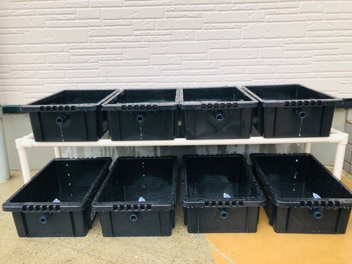 メダカ飼育ラック ブラック【接着剤付】 NVBOX13を12個置けます メダカ飼育ラック ブラック【接着剤付】 NVBOX13が12個置けます