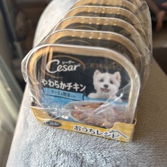 シーザーおうちレシピチキンの画像