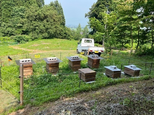 養蜂家直売！2.4kg【非加熱・純粋はちみつ　糖度83度】採れたて新蜜！金沢×富山の花々からとれた濃厚な甘さの百花蜜