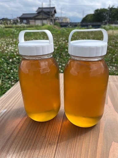 養蜂家直売！2.4kg【非加熱・純粋はちみつ　糖度83度】採れたて新蜜！金沢×富山の花々からとれた濃厚な甘さの百花蜜
