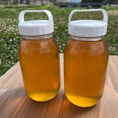 養蜂家直売！2.4kg【非加熱・純粋はちみつ　糖度83度】採れた...
