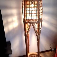 藤　照明