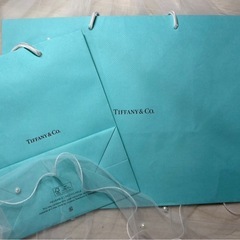 Tiffany & Co. ギフト袋 2点セット