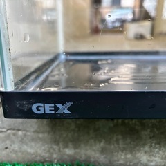 水槽 60cm 
の画像