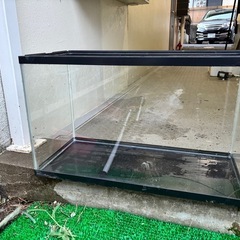 水槽 60cm 
の画像