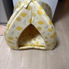 猫用セットの画像