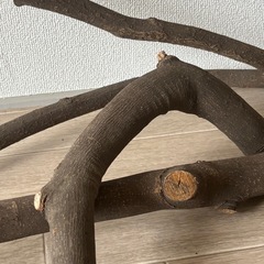おまけ付き大きめ切り枝セット ガーデニング、ハンドメイド、インテリア、クラフトの画像