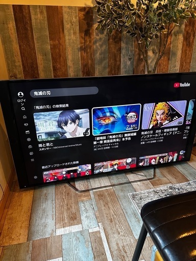 Panasonic VIERA  2018年製