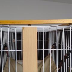 ボンビアルコン キャットワンサークル ワイドドア3段の画像