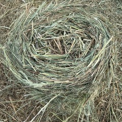①
牧草ロール　ポニーの餌　馬の牧草　うさぎの敷きわら　大型犬の敷きわらの画像