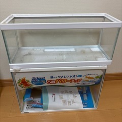 水槽　２個まとめての画像