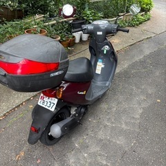 レッツ4 自賠責