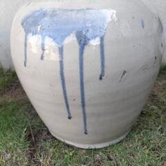 壺　つぼの画像