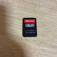 Switch (カセット2つ付き) 内蔵バッテリー長持ち
の画像