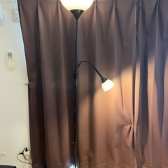 ⭐️ IKEA NOT⭐️フロアスタンドの画像