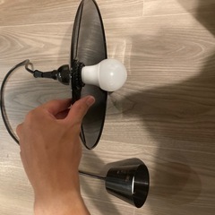 間接照明　ペンダントライトの画像