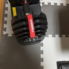 可変式ダンベル+トレーニングベンチ　の画像