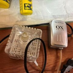 水槽、メダカ１０匹、おまけなど、セットでお譲り致します。の画像