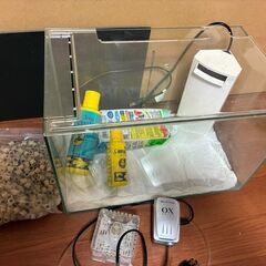 水槽、メダカ１０匹、おまけなど、セットでお譲り致します。の画像