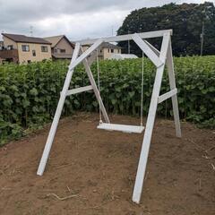 🌻2025 藤崎ひまわり回廊🌻 - 地域/お祭り