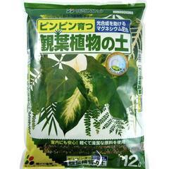 【無料】観葉植物の土の画像