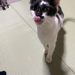 3歳の白黒の女の子