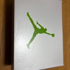 Nike Air Jordan 5 "Green Bean"の画像