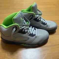 Nike Air Jordan 5 "Green Bean"の画像