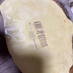 爬虫類のエサが水入れですの画像
