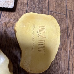 爬虫類のエサが水入れですの画像