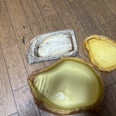 爬虫類のエサが水入れですの画像