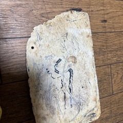 爬虫類のエサが水入れですの画像