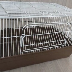 フェレット ゲージ   フードの画像