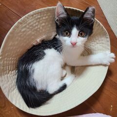 モデルの様な可愛い子   2週間でこんなに慣れました!