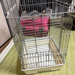 インコ・オウム用ケージの画像