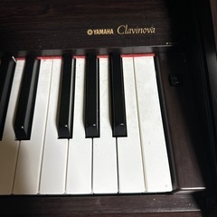 お話し中期間限定　YAMAHAグラビノーバの画像