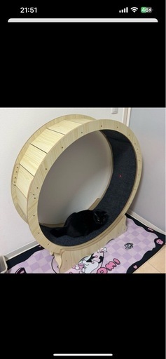キャットホイール猫 走る 回転110cm