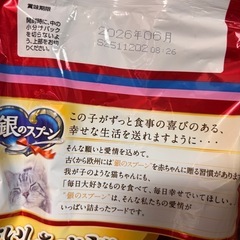 子猫用キャットフードの画像